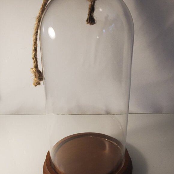 Glass Dome Terrarium / Display Case with Wood Base - Tall - Picture 4 of 5